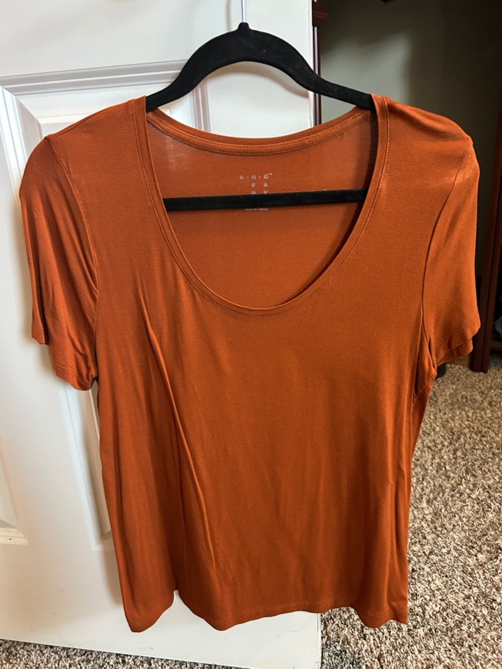 A New Day Women’s Scoop Neck Short Sleeve Top - Rust/Copper size Small